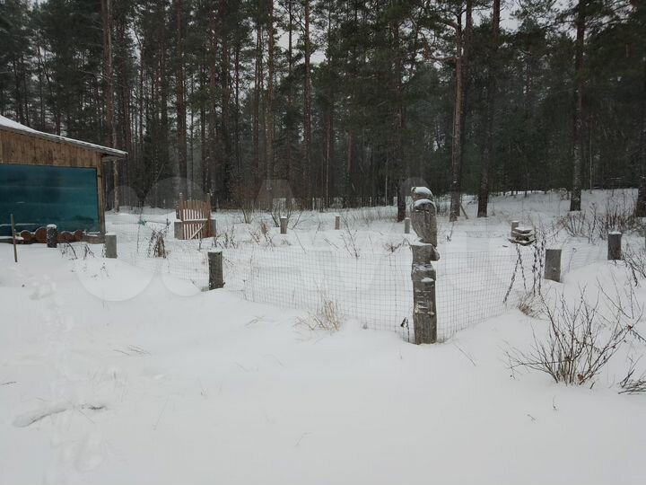 Дом 53,3 м² на участке 15 сот.