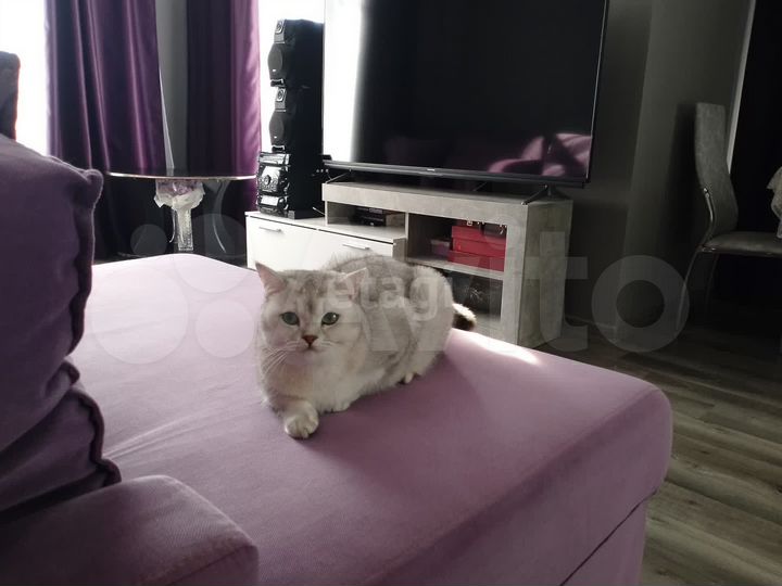 3-к. квартира, 85,5 м², 1/3 эт.