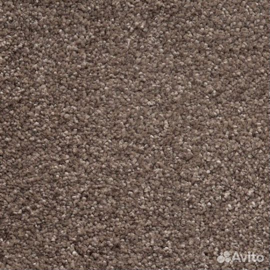 Ковролин AW Invictus Sirius 37