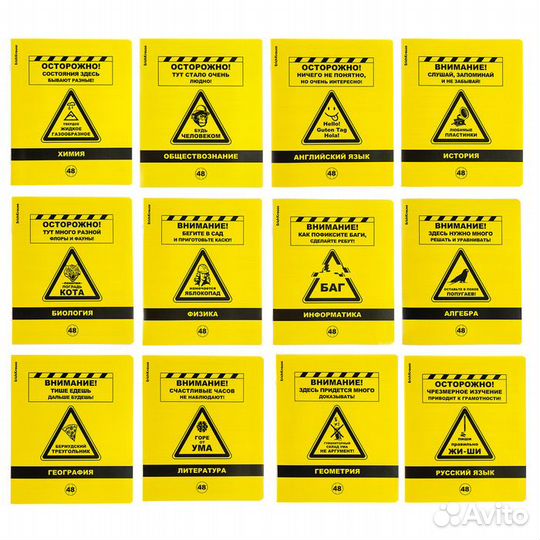 Комплект предметных тетрадей 48 листов, 12 штук, E