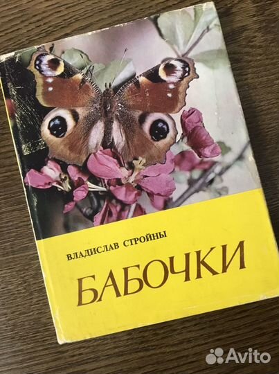 Книги о бабочках и природе