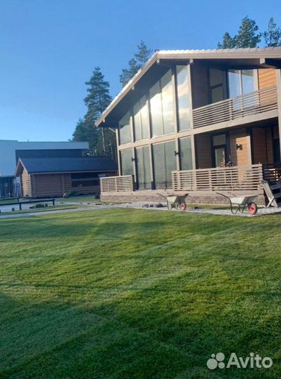 Рулонный газон от производителя