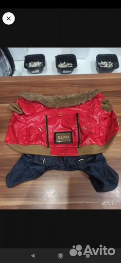 Крутые костюмы для собачек