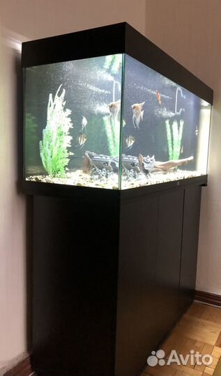 Аквариум с тумбой juwel 180л