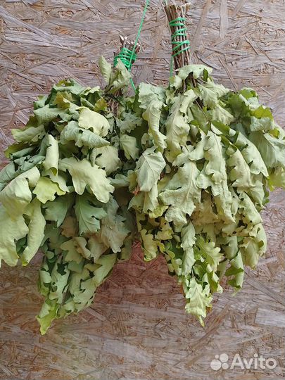 Дубовые веники для бани,сауны