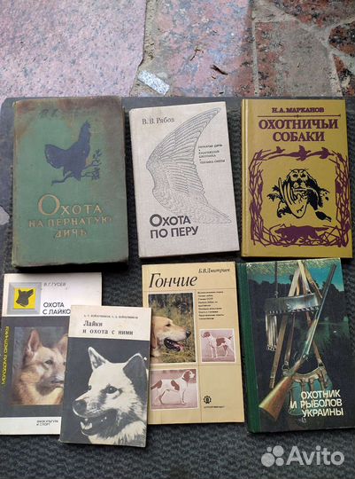 Охота и рыбалка