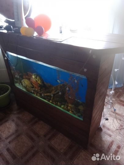 Стойка барная и аквариум 300л