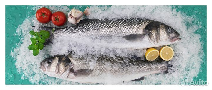 Льдогенератор Brema GB 601A HC