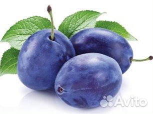 Джем, конфитюр термостабильный, Сливовый, KF 900г