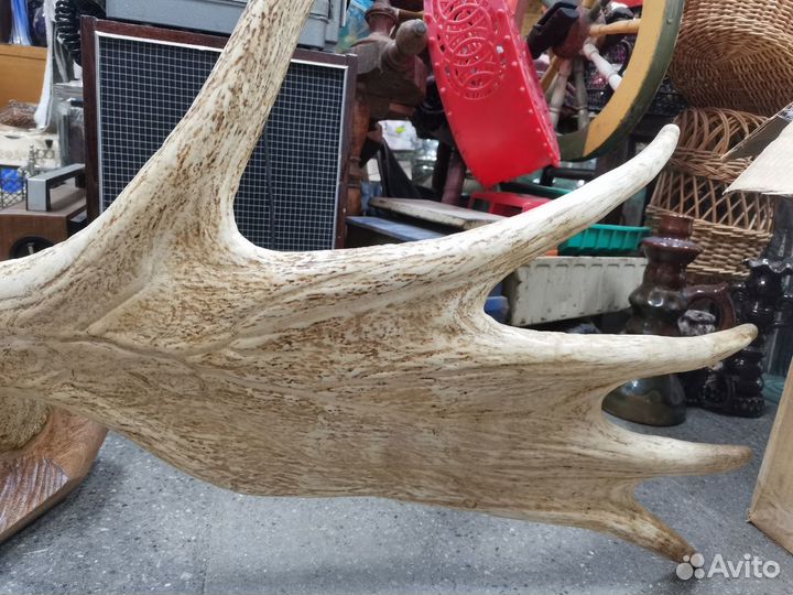 Рога лося в интерьер винтаж СССР