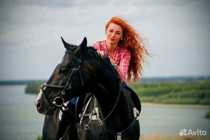 Лошади для фотосессий