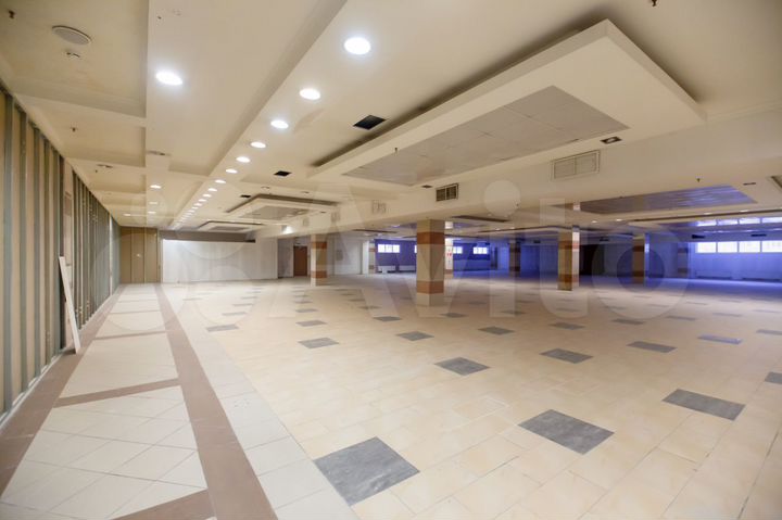 Крупный продовольственный магазин у метро 2000 м