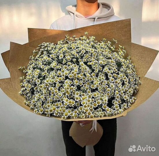 Цветы ромашки. Букеты ромашек. Цветы доставка