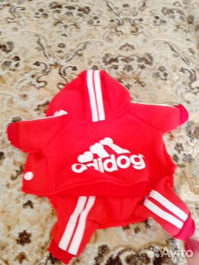 Спортивный костюм и пижама для маленькой собачки