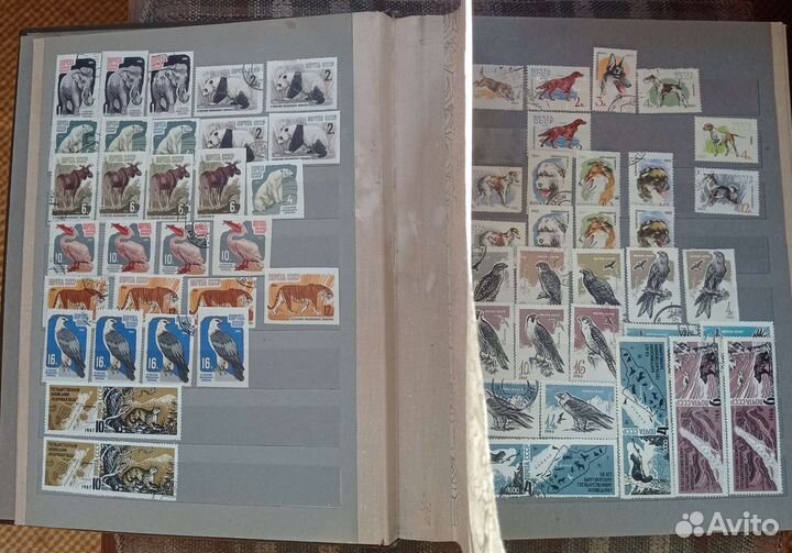 Альбом с марками СССР с 1957 по 1993 Фауна