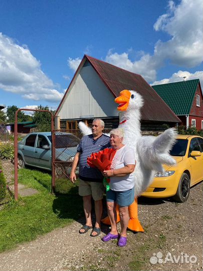 Ростовая кукла гусь обнимусь