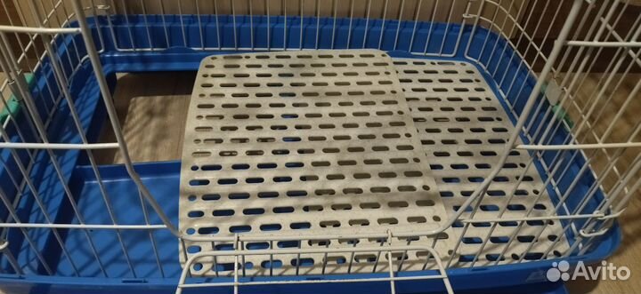 Клетка для грызунов бу