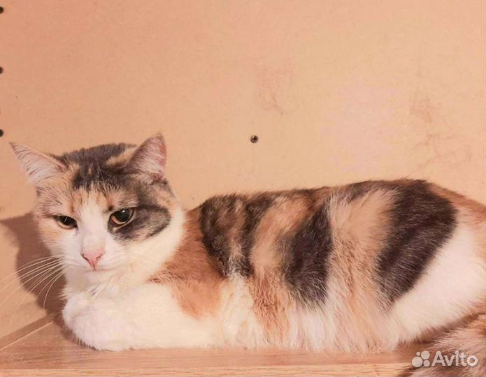 Ася добрая И милая