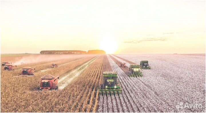 Ищу инвестора / Пассивный доход