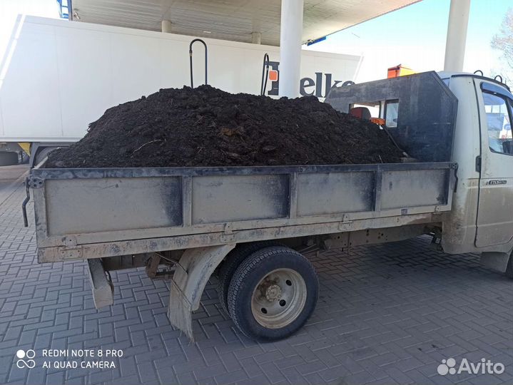 Конский перегной