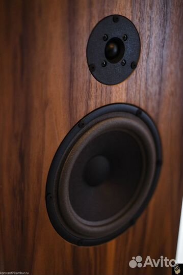 Audio Note AN E LX Walnut