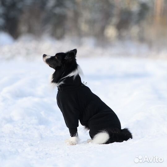 Флисовый комбинезон-толстовка для собак (р25-70)
