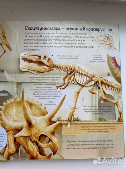 Книги с окошками робинс Динозавры