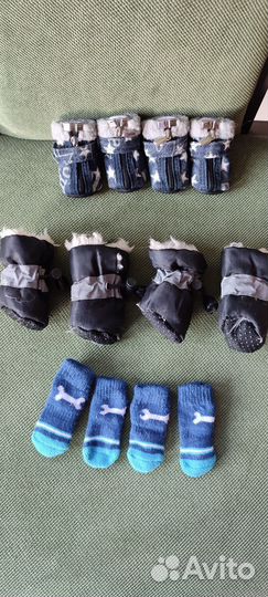 Одежда для собак