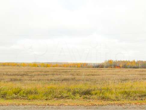 Участок 12 сот. (ИЖС)