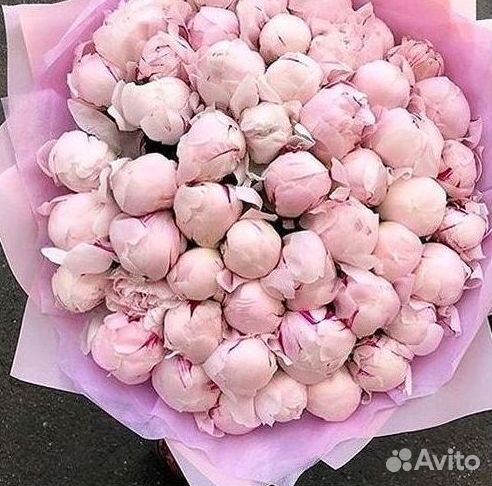Пионы Цветы Доставка