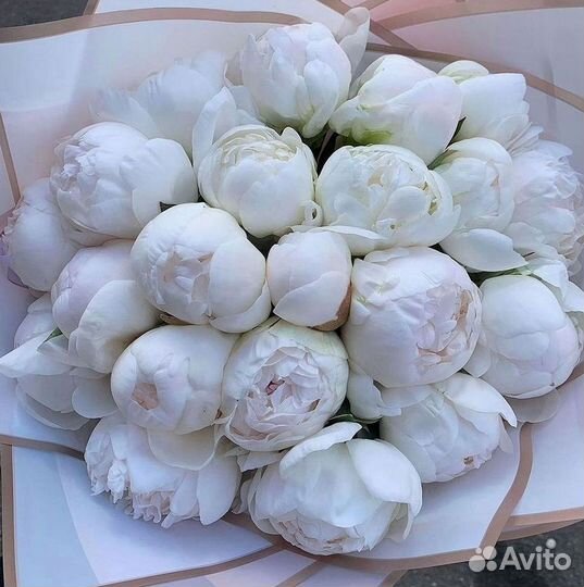 Пионы Букеты Цветы Доставка