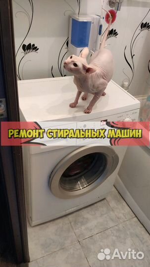 Стиральная машина. Ремонт