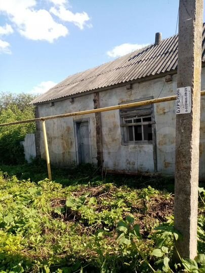 Дом 20 м² на участке 14,5 сот.