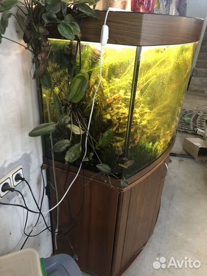 Аквариум с тумбой 350 л
