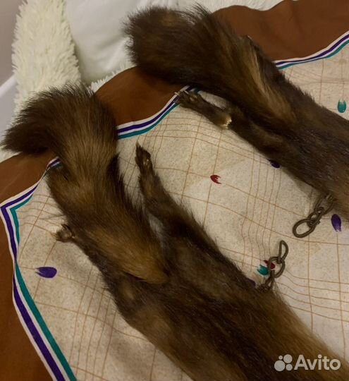 Шкурка животного. По типу шарфа. хорёк