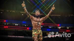 UFC 4 PS4/PS5 Копейск