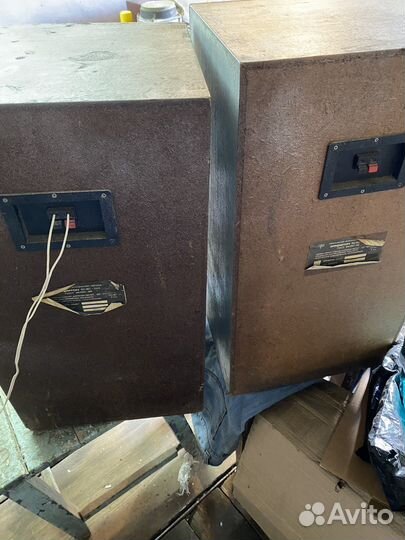 Колонки амфитон 50ас 022