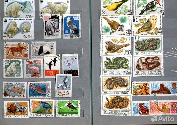 Почтовые марки