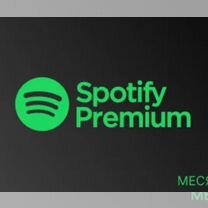 Сертификат на инд. подписку Spotify Premium Индия