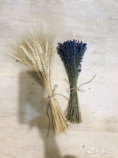 Букет сухоцвет