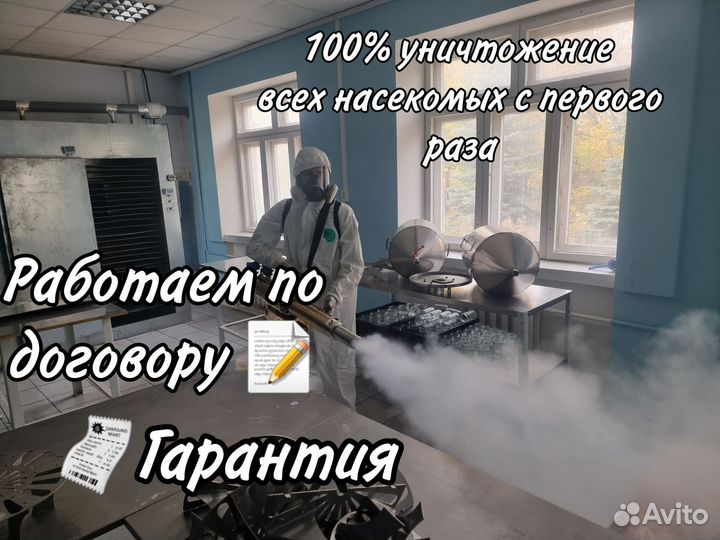 Уничтожение тараканов клопов дезинсекция