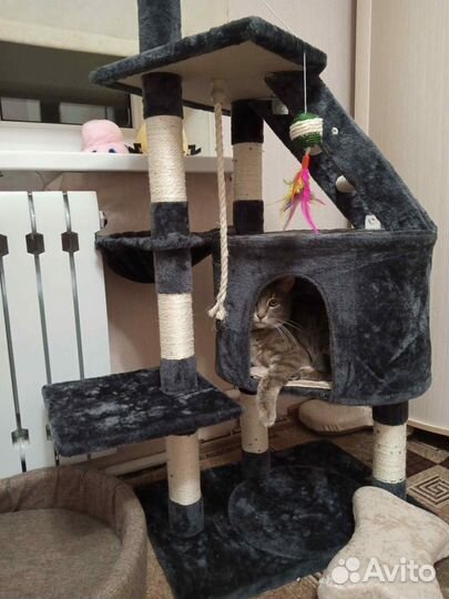 Домик когтеточка