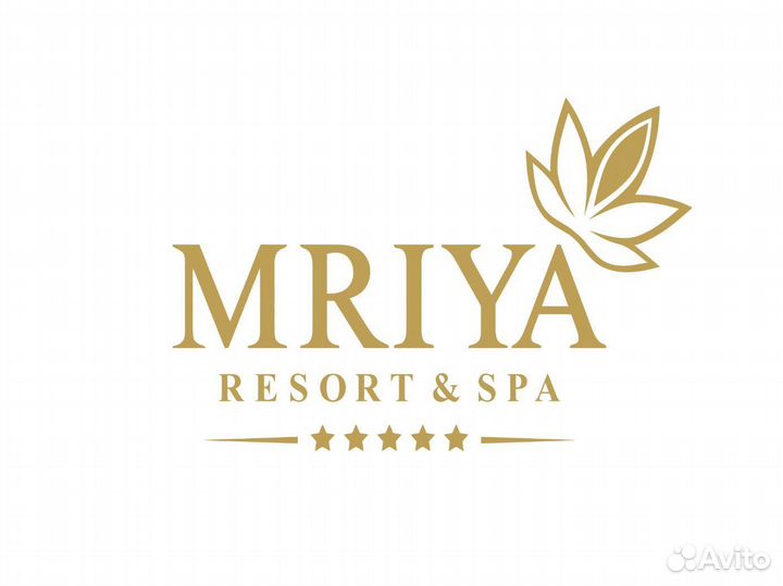 Повар-стажер