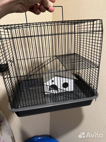 Джунгарские хомяки с клеткой