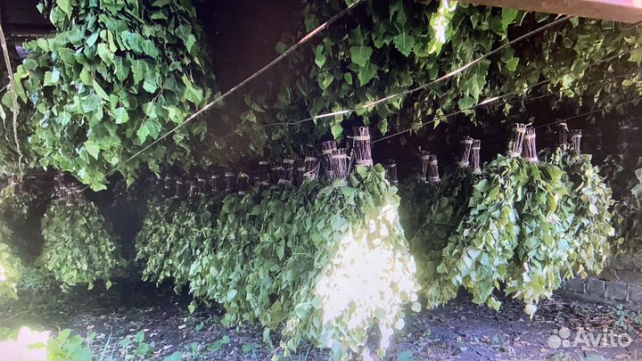 Банные веники Оптом Розница Веники