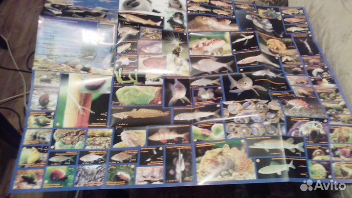 Географич и топогр. карта Котокельского озера