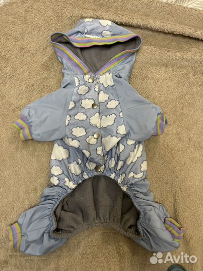 Одежда для маленьких собак