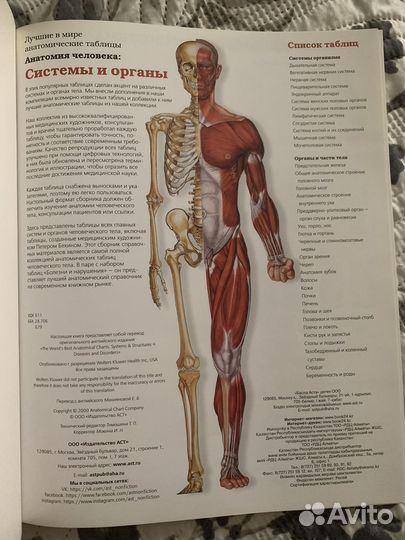 Большой атлас анатомии человека. Мягкая обложка