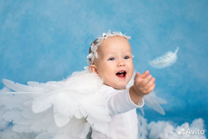 Крылья Ангела в аренду