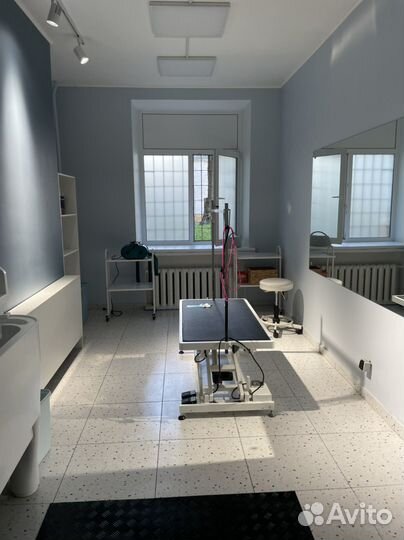 Аренда груминг зоны